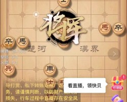 ​直播下象棋赚钱项目