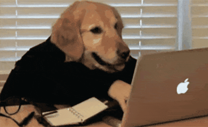 src=http___p2.itc.cn_q_70_images03_20210706_897bb81e71d34b27889a46c8ce1a859f.gif&refer=http___p2.itc.gif